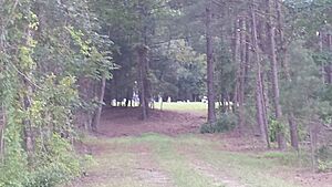 Crawford-Dorsey Cemetery