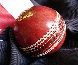 Cricket ball G&M