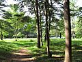 Dean Pond Recreation Area, Brimfield State Forest, Brimfield MA