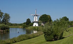 Deil, molen de Vlinder RM16495 IMG 9458 2021-06-13 17.18
