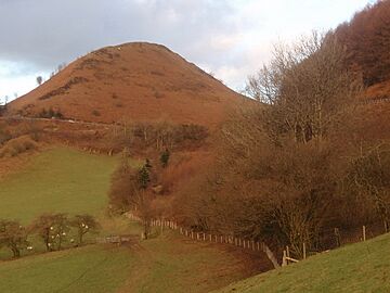 Dinas y Bwlch - Sugar Loaf - geograph.org.uk - 2224423.jpg