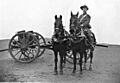 Driver Childers HAC