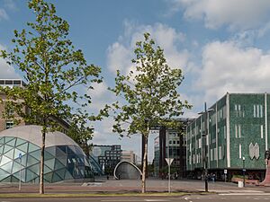 Eindhoven, straatzicht 18 Septemberplein-Vestdijk-Stationsplein foto3 2014-05-04 10.35