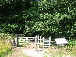 Entrance to Foal Hurst Wood - geograph.org.uk - 1436297
