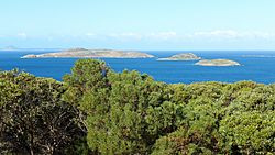 Esperance Bay, 2018 (01).jpg