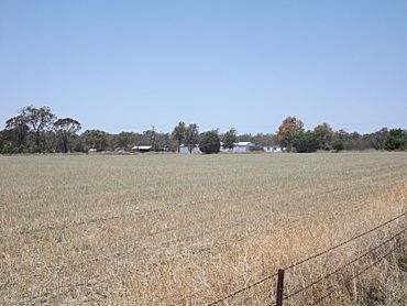 Fields at Athol.jpg