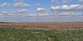 Fillmore County, NE T8N R1W S8 NW quarter pan from W d