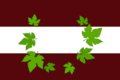 Flag of Pesoz (2021)