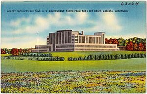 Forest Products Building, U.S. Government, taken from the Lake Drive, Madison, Wisconsin (63064)