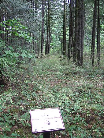 Ft Cascades Military Portage Road.jpg