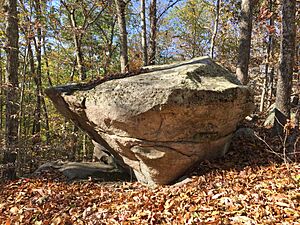 Glacial rock in Wolf Rock Nature Preserve, Mansfield, CT - October 2020
