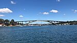 Gladesville Bridge sydney.jpg