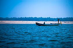 Godavari river near Achanta.jpg