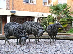 Guildford Throwbaaack - geograph.org.uk - 646840