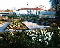 Heeley City Farm - Gardens 14-04-06