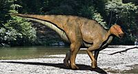 Koshisaurus NT small.jpg