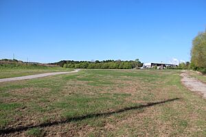 Leake Mounds site 2015