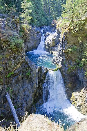 Little Qualicum Falls Provincial Park (36676050912)