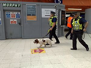 London Police Dogs