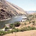LowerSalmonRiverIdaho