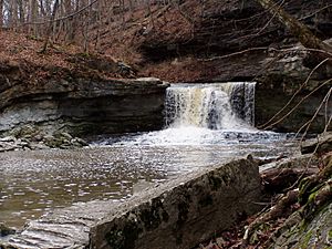 McCormicks Creek falls Indiana
