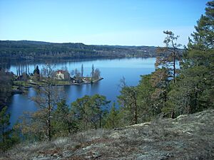 Nature reserve Norra Vi.jpg