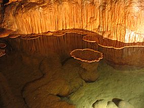 Onondaga Cave lily pad room by stannate.jpg