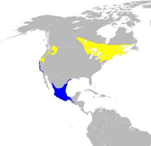 Oreothlypis ruficapilla map.svg