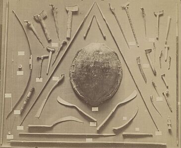 Photo d'une panoplie d'armes malaises de la presqu'île de Malacca, par J. Claine, donateur en 1891