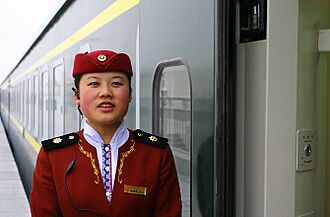 Rail attendant