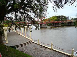 The Swing Bridge of Carmelo over the Arroyo de las Vacas