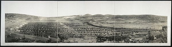 Reveille 68th Inf. Brigade Tyrone NM 1918