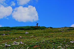 Rollins Pass Weather Station