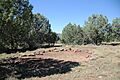 Shoofly Village Ruin, Shoofly’s First Houses Site