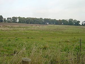 Site of Cowlam