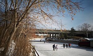 Skating on the Rideau canal in Ottawa