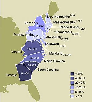 Slavery in the 13 colonies