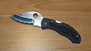 Spyderco-Snap-it