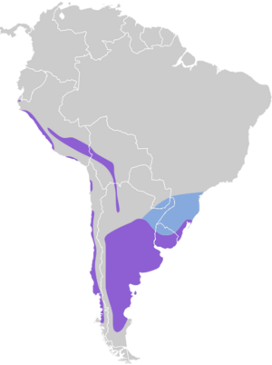 Tachuris rubrigastra map.svg