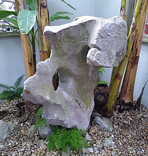 Tai Hue Rock, Chinese Garden of Friendship