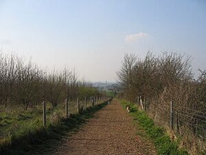 The Dogwalk at Gog Magog Downs - geograph.org.uk - 379827
