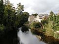 The River Nidd - geograph.org.uk - 986426