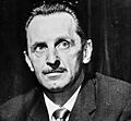 Theo Gerdener