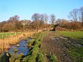 Track to Landport - geograph.org.uk - 1099297