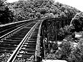 Trestle above Covel West Virginia