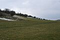 Tumuli - geograph.org.uk - 127879