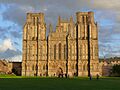 Wells cathedral 28 crop