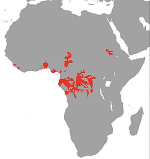 Xenomystus nigri Map.jpg