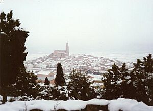 ALLOZA9