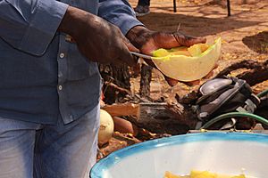 A man cutting lerotse into pieces to be ready for cooking (Domboshaba Cultural 2017)